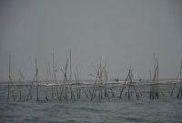 Heboh Pagar Laut Tangerang, Foto Lawas Mantan Bupati Buka Fakta Mengejutkan! (Istimewa)
