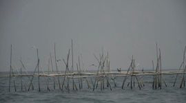 Heboh Pagar Laut Tangerang, Foto Lawas Mantan Bupati Buka Fakta Mengejutkan! (Istimewa)
