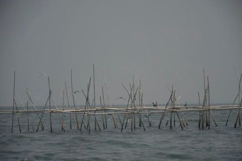 Heboh Pagar Laut Tangerang, Foto Lawas Mantan Bupati Buka Fakta Mengejutkan! (Istimewa)
