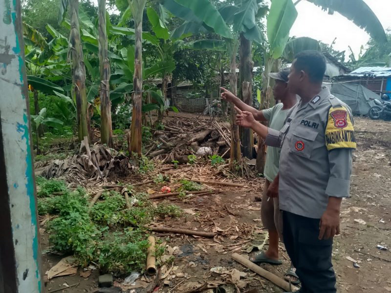 Bripka Kahar Mujiono bersama warga melihat tanaman pisang, terong, jeruk dan aneka tanaman bumbu yang ditanam warga di areal pekarangan. (Istimewa)