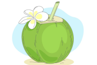 Kelapa (Dok.freepik)
