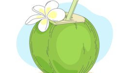 Kelapa (Dok.freepik)