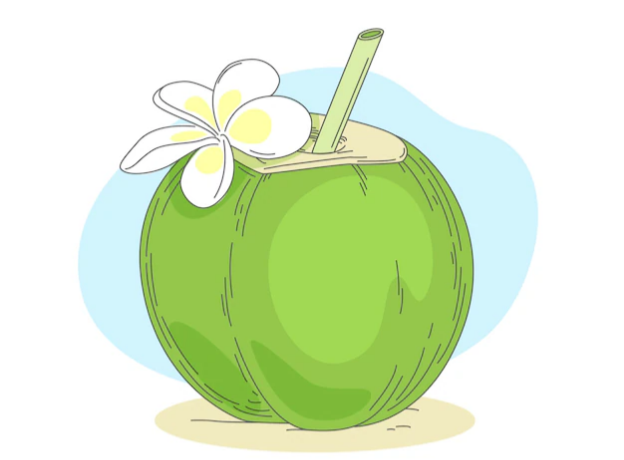 Kelapa (Dok.freepik)