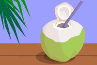 Kandungan gula alami dalam air kelapa memberikan energi instan yang dibutuhkan tubuh setelah berpuasa (Dok. Freepik Ilustrasi) 