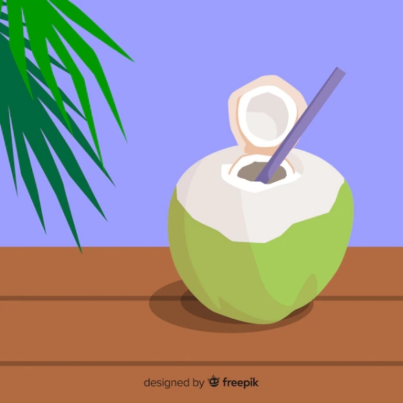 Kandungan gula alami dalam air kelapa memberikan energi instan yang dibutuhkan tubuh setelah berpuasa (Dok. Freepik Ilustrasi) 