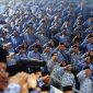Penundaan pengangkatan CPNS 2024 hingga Oktober 2025 membuat peserta yang sudah resign terpaksa menunggu tanpa pemasukan dalam waktu lama. (Foto Ilustrasi/Istimewa)