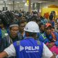 PELNI sediakan layanan mudik gratis Idulfitri 1446 Hijriah, cek cara daftar dan persyaratannya. (Foto: Dok. Pelni)