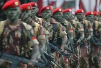 Potret Tentara Nasional Indonesia. (Dok. Puspen TNI)