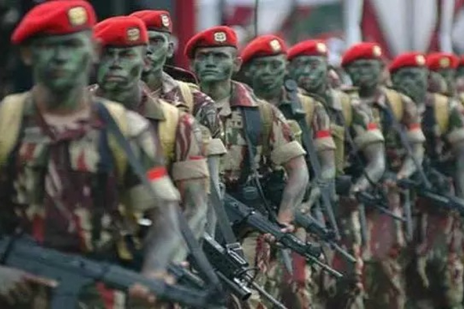 Potret Tentara Nasional Indonesia. (Dok. Puspen TNI)