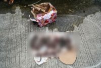 Ketua Dewan Pers desak Kapolri usut tuntas teror kepala babi dan tikus ke kantor Tempo. Tegaskan perlindungan hak informasi dan penegakan hukum tanpa kekerasan. (Istimewa)