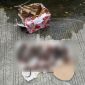 Ketua Dewan Pers desak Kapolri usut tuntas teror kepala babi dan tikus ke kantor Tempo. Tegaskan perlindungan hak informasi dan penegakan hukum tanpa kekerasan. (Istimewa)