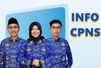 PENGANGKATAN CPNS 2024 - Ilustrasi PNS diambil dari situs SSCASN. Petisi penolakan penundaan pengangkatan CPNS dan PPPK viral, berikut alasan pemerintah menunda proses tersebut. (sscasn.bkn.go.id)