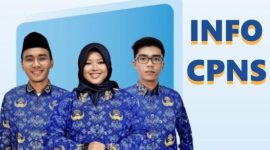 PENGANGKATAN CPNS 2024 - Ilustrasi PNS diambil dari situs SSCASN. Petisi penolakan penundaan pengangkatan CPNS dan PPPK viral, berikut alasan pemerintah menunda proses tersebut. (sscasn.bkn.go.id)