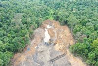 Kawasan hutan pendidikan milik Fakultas Kehutanan Universitas Mulawarman (Unmul) kembali dirambah. Kali ini, lima alat berat milik perusahaan tambang diduga masuk dan melakukan aktivitas penambangan di area Hutan Pendidikan sejak 4 April 2025 lalu saat lebaran idul Fitri. Diambil Minggu (7/4/2025) (Dok. Fakultas Kehutanan Unmul)
