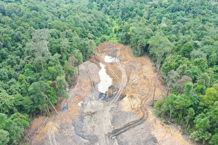 Kawasan hutan pendidikan milik Fakultas Kehutanan Universitas Mulawarman (Unmul) kembali dirambah. Kali ini, lima alat berat milik perusahaan tambang diduga masuk dan melakukan aktivitas penambangan di area Hutan Pendidikan sejak 4 April 2025 lalu saat lebaran idul Fitri. Diambil Minggu (7/4/2025) (Dok. Fakultas Kehutanan Unmul)
