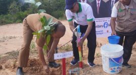 Kemenag Pekanbaru dan MIN 1 tanam pohon matoa dalam rangka Hari Bumi 2025 (Foto: mediacenter.riau.go.id)