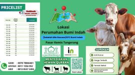 Layanan kurban dan akikah di Kutabumi Tangerang yang praktis dan sesuai syariat. Afifah menyediakan hewan kurban seperti kambing domba dan sapi yang sehat serta memenuhi ketentuan fiqih. Kami juga menawarkan paket akikah lengkap mulai dari penyediaan hewan hingga pengolahan dan pengantaran daging siap saji. Percayakan ibadah Anda kepada Afifah untuk pengalaman yang amanah dan mudah. Hubungi 08111 556 952 untuk informasi lebih lanjut.