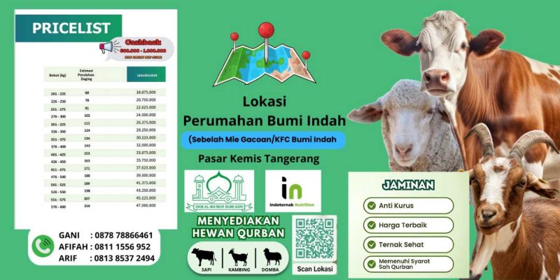 Layanan kurban dan akikah di Kutabumi Tangerang yang praktis dan sesuai syariat. Afifah menyediakan hewan kurban seperti kambing domba dan sapi yang sehat serta memenuhi ketentuan fiqih. Kami juga menawarkan paket akikah lengkap mulai dari penyediaan hewan hingga pengolahan dan pengantaran daging siap saji. Percayakan ibadah Anda kepada Afifah untuk pengalaman yang amanah dan mudah. Hubungi 08111 556 952 untuk informasi lebih lanjut.