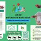 Layanan kurban dan akikah di Kutabumi Tangerang yang praktis dan sesuai syariat. Afifah menyediakan hewan kurban seperti kambing domba dan sapi yang sehat serta memenuhi ketentuan fiqih. Kami juga menawarkan paket akikah lengkap mulai dari penyediaan hewan hingga pengolahan dan pengantaran daging siap saji. Percayakan ibadah Anda kepada Afifah untuk pengalaman yang amanah dan mudah. Hubungi 08111 556 952 untuk informasi lebih lanjut.