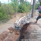 Proyek yang bersumber dari Anggaran Pendapatan dan Belanja Daerah (APBD) Tahun 2025 ini memiliki nilai sebesar Rp 489.924.839 dan dilaksanakan oleh CV Ringan Contractor. (Dok. Jay) 