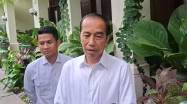 Potret Mantan Presiden Indonesia ke-7 Joko Widodo. (Istimewa)