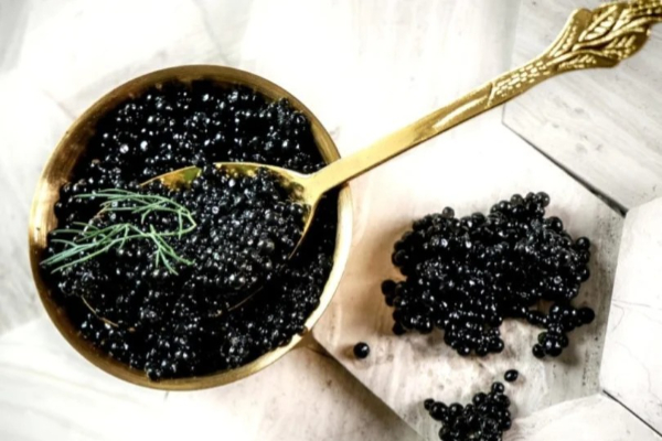 Caviar adalah olahan telur ikan, terutama dari ikan sturgeon, yang telah diproses dan diasinkan. Makanan ini terkenal karena harganya yang sangat mahal dan sering dianggap sebagai hidangan mewah. Caviar tidak hanya lezat, tetapi juga memiliki kandungan gizi yang bermanfaat bagi kesehatan, meskipun konsumsi berlebihan dapat berisiko. Tersedia dalam berbagai jenis, caviar paling banyak ditemukan di Laut Kaspia, dengan harga yang bervariasi tergantung pada jenis dan kualitasnya. (Dok. NET)