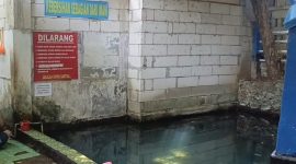 Potret Sumur Sentul airnya tak pernah kering dan tak pernah banjir (Dok. Istimewa) 