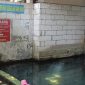 Potret Sumur Sentul airnya tak pernah kering dan tak pernah banjir (Dok. Istimewa) 