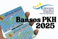 Ilustrasi NIK KTP untuk mengecek status nama penerima Bansos PKH 2025 (Istimewa) 