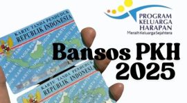 Ilustrasi NIK KTP untuk mengecek status nama penerima Bansos PKH 2025 (Istimewa) 