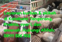 Layanan hewan kurban dan akikah di Kutabumi, Tangerang, Banten, amanah terpercaya melayani dengan sungguh (Foto; Dok. Pribadi)