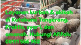 Layanan hewan kurban dan akikah di Kutabumi, Tangerang, Banten, amanah terpercaya melayani dengan sungguh (Foto; Dok. Pribadi)