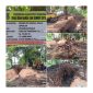 Proyek Rehabilitasi Tanggul Sungai Cipasilian yang berlokasi di Kecamatan Kronjo tengah menjadi sorotan publik. (Dok. Jay) 