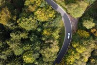 Perdagangan Karbon: Peluang Ekonomi Hijau Capai Rp3.000 Triliun di Indonesia (Ilustrasi/Unsplash)