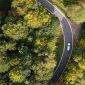 Perdagangan Karbon: Peluang Ekonomi Hijau Capai Rp3.000 Triliun di Indonesia (Ilustrasi/Unsplash)