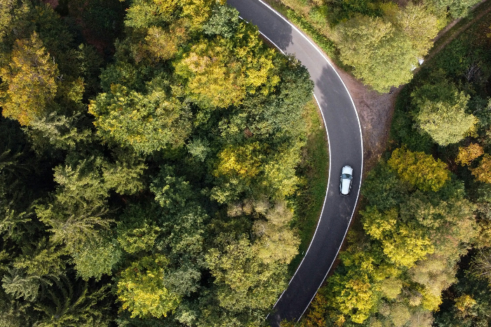 Perdagangan Karbon: Peluang Ekonomi Hijau Capai Rp3.000 Triliun di Indonesia (Ilustrasi/Unsplash)