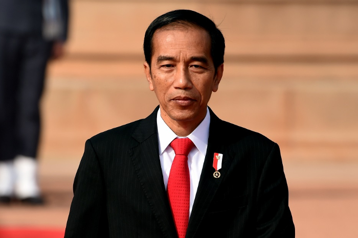 Presiden Ke-7 Joko Widodo (Foto: Dok. BPMI Setpres)