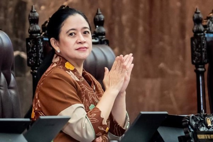 Ketua DPRI RI Puan Maharani (Instagram Puan Maharani)