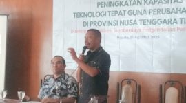 Wakil Bupati Ngada, Bernadinus 