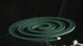Foto Ilustrasi – Obat nyamuk mengandung sejumlah bahan aktif yang efektif untuk membasmi nyamuk dan serangga. (Unsplash/Ronald Langeveld)