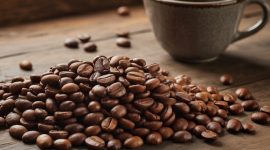 Kopi Arabika Flores Bajawa, lahir dari tanah vulkanik Ngada, berpadu aroma bunga, cokelat, dan herbal, menghadirkan cita rasa istimewa. (Ilustrasi/Frans Dhena)