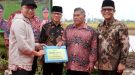 Panen raya di Trimurjo, Lampung Tengah, hasilkan 28.700 ton gabah, Gubernur hingga Jaksa Agung Muda Intelijen hadir dukung petani. (Dok. Pemprov Lampung)