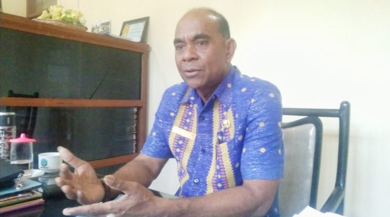 Kepala Dinas Penanaman Modal dan Pelayanan Terpadu Satu Pintu (DPMPTSP) Kabupaten Ngada, Yohanes Ghae. (Foto: Elfrat Frans Dhena).