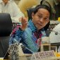 Menhut Raja Juli Antoni. (Dok. kehutanan.go.id)