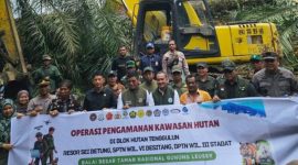 Pemulihan TNGL dimulai, sawit ilegal ditumbangkan, lahan direstorasi, dan masyarakat dukung kembalikan fungsi hutan konservasi. (Foto: Dok. kehutanan.go.id)