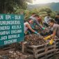 PLN EPI - DLH Gunungkidul Sinergi Kelola Sampah Organik Jadi Bernilai Ekonomi. (Foto Ilustrasi)
