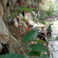 Aksi bersih Sungai Selokambang temukan sampah lawas dan mikroplastik. Ecoton sebut 50% darah manusia sudah tercemar. (Foto: BeritaJatim.com)