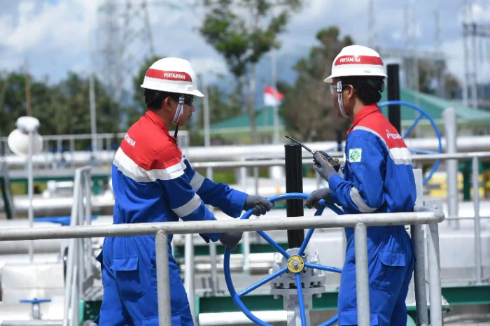 Pertamina NRE dorong transisi energi hijau efisien, dukung UMKM naik kelas lewat Pertapreneur hingga sukses tembus pasar global. (Foto: Pertamina)