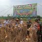 Kapolsek Pasar Kemis AKP Syamsul Bahri, S.TK. S.I.K. M.H. didampingi Kades Pasar Kemis Al Haetomi, S.E. dan IPTU Wigiyanto (Kanit Binmas Polsek Pasar Kemis), IPDA Junaedi (Kanit Provost Polsek Pasar Kemis), Pers Polsek Pasar Kemis, Pers Koramil 11 Pasar Kemis, Staf Desa Pasar Kemis, Poktan Desa Pasar Kemis mengadakan kegiatan panen jagung hibrida kuartal III seluas 2 hektare di Desa Pasar Kemis.