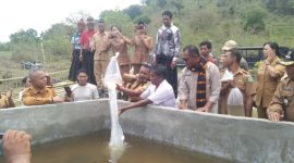 Perkuat Ketapang, Wabup Ngada: BumDes Mesti Jadi Ujung Tombak Ekonomi Desa. (Foto: Elfrat Frans Dhena)